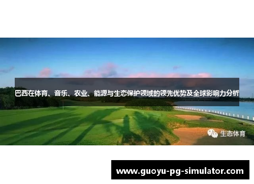 巴西在体育、音乐、农业、能源与生态保护领域的领先优势及全球影响力分析