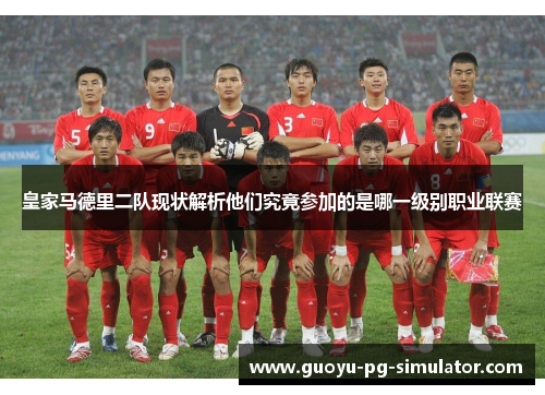 皇家马德里二队现状解析他们究竟参加的是哪一级别职业联赛
