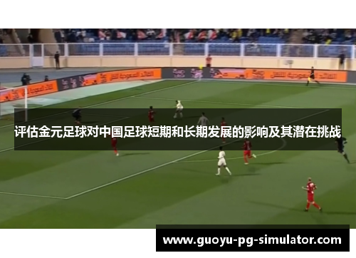 评估金元足球对中国足球短期和长期发展的影响及其潜在挑战