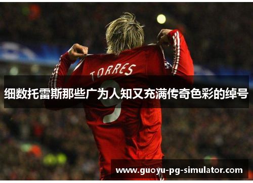 细数托雷斯那些广为人知又充满传奇色彩的绰号