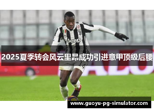 2025夏季转会风云里昂成功引进意甲顶级后腰