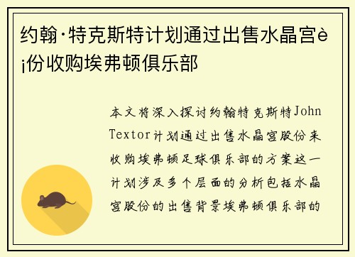 约翰·特克斯特计划通过出售水晶宫股份收购埃弗顿俱乐部 约翰·特克斯特计划通过出售水晶宫股份收购埃弗顿俱乐部