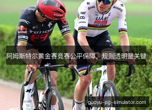 阿姆斯特尔黄金赛竞赛公平保障,规则透明是关键 阿姆斯特尔黄金赛竞赛公平保障,规则透明是关键